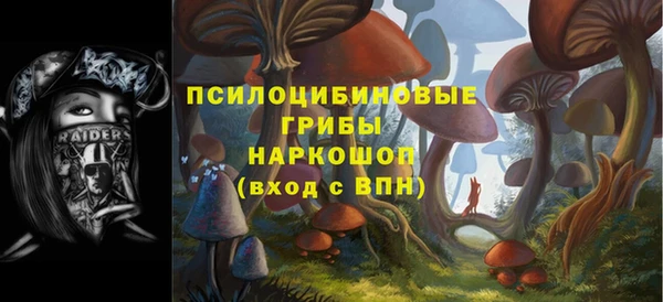 стафф Бронницы